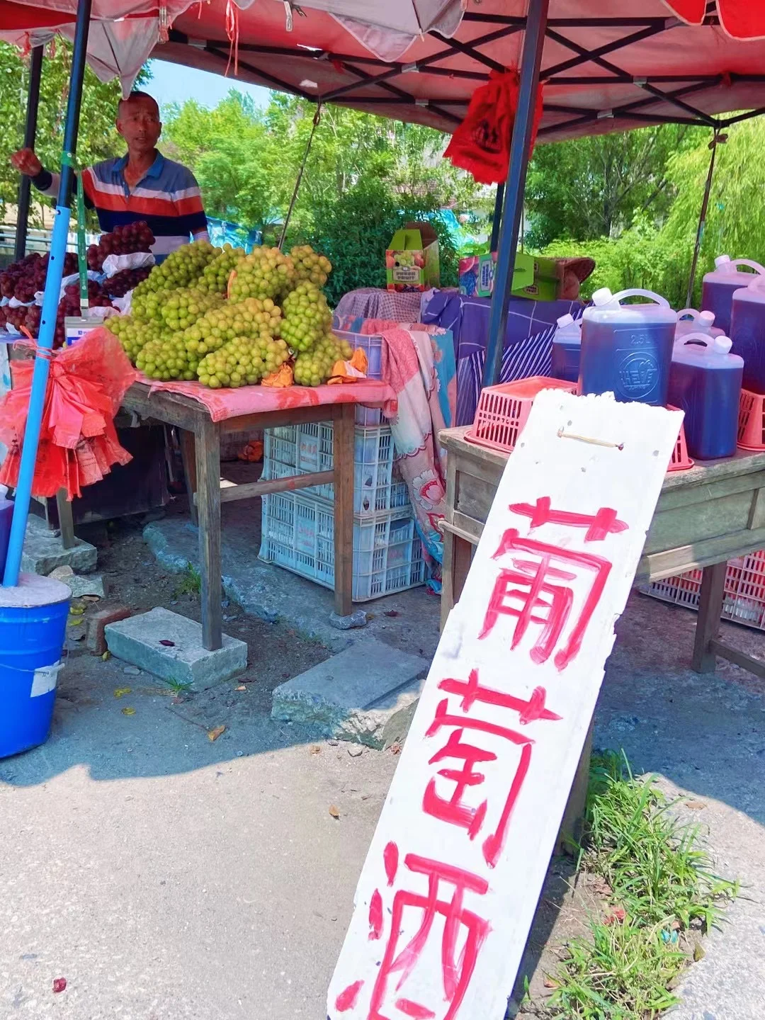 寻找安徽孙埠葡萄酒