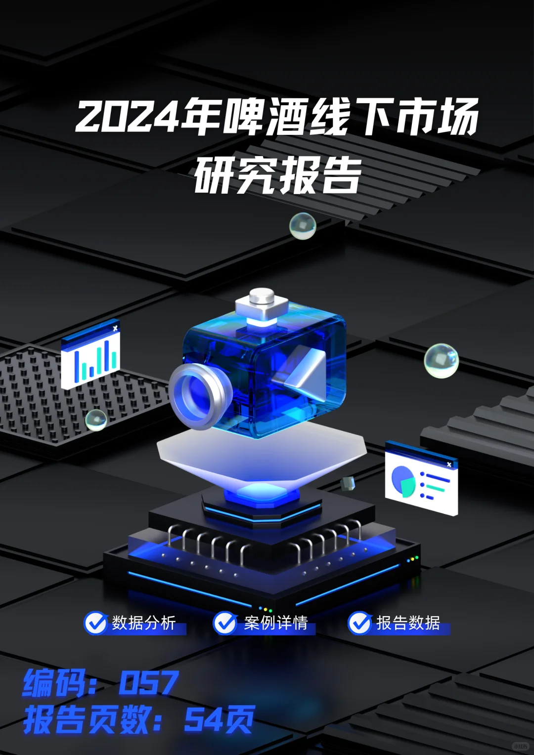 2024年啤酒线下市场研究报告