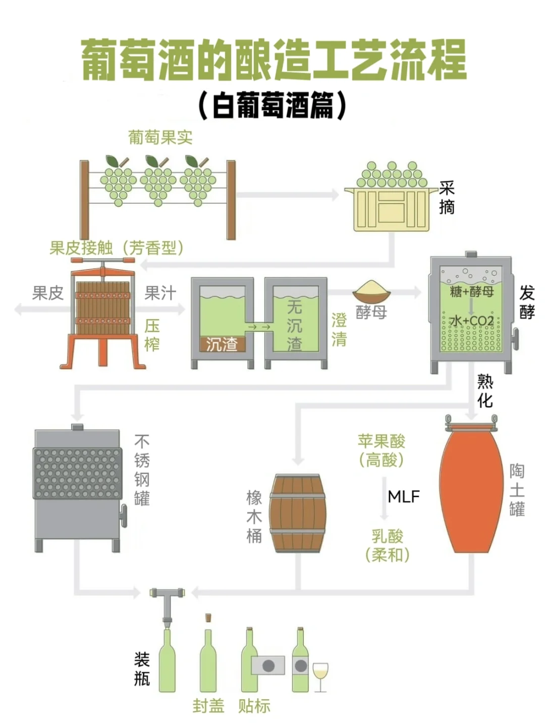 ?秒变葡萄酒达人|WSET必考|一图看懂酿酒