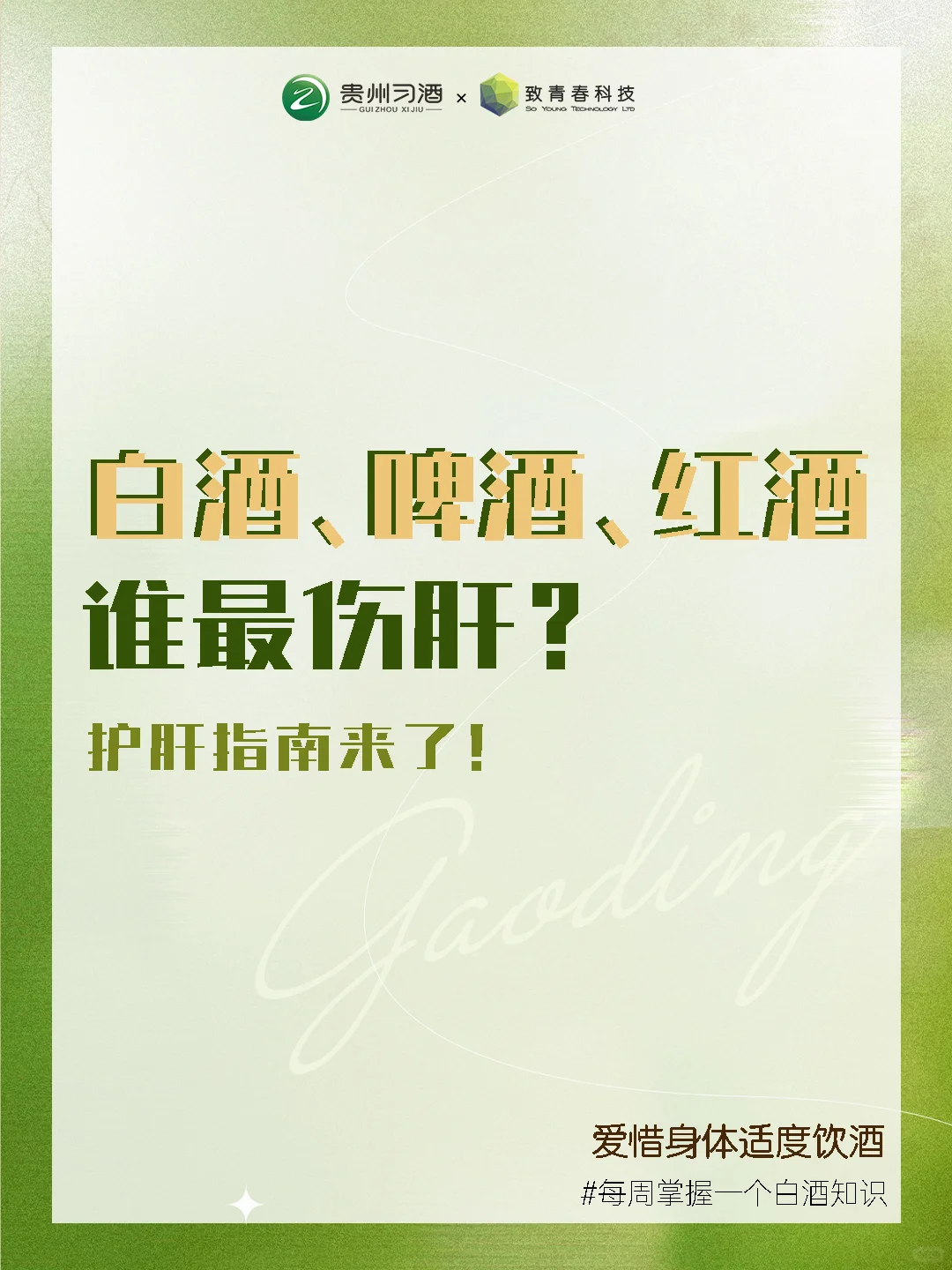 【护肝指南】白酒、啤酒、红酒谁最伤肝！
