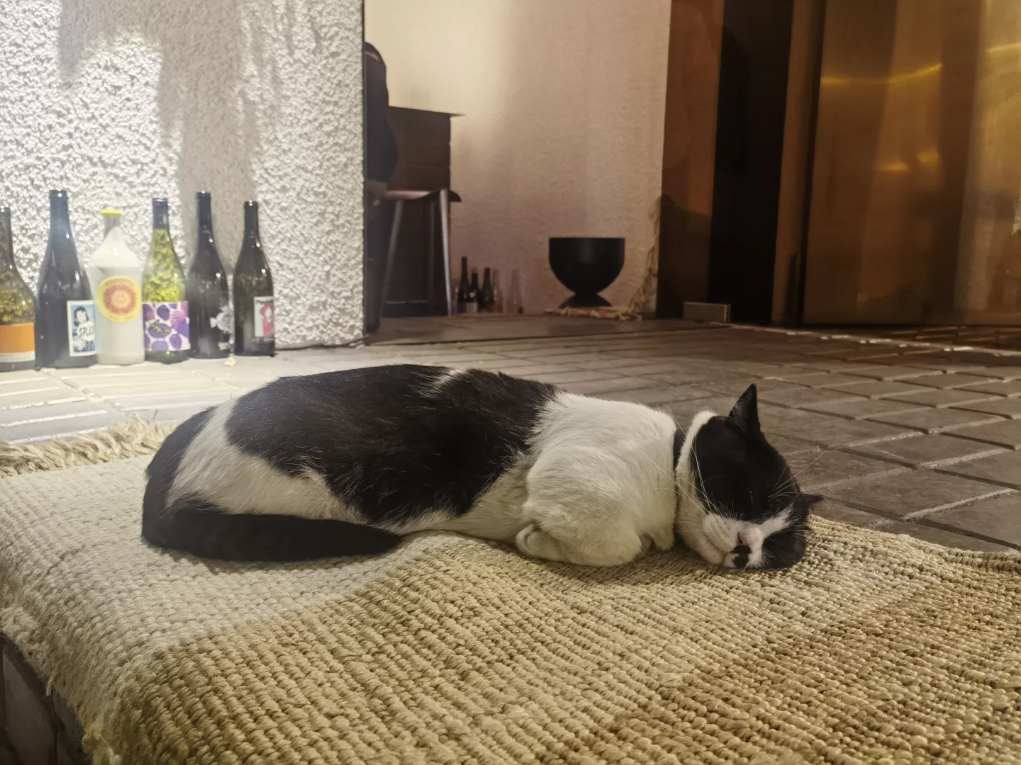 Wine Bar | 令人惊喜的深圳小酒馆?