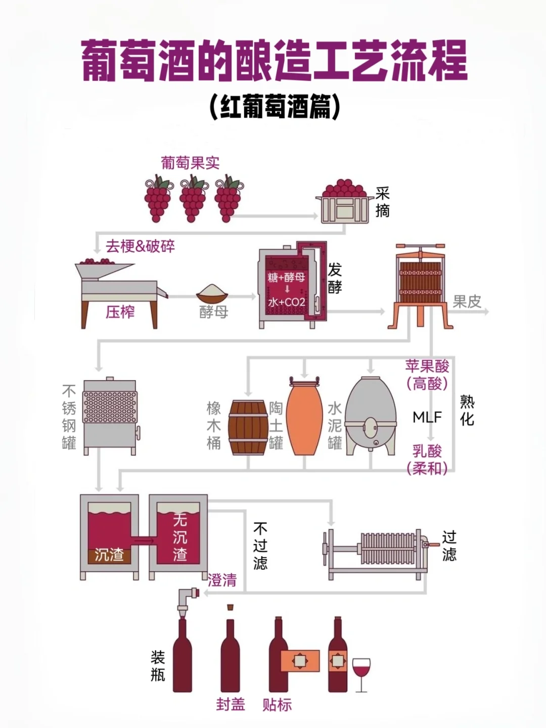 ?秒变葡萄酒达人|WSET必考|一图看懂酿酒