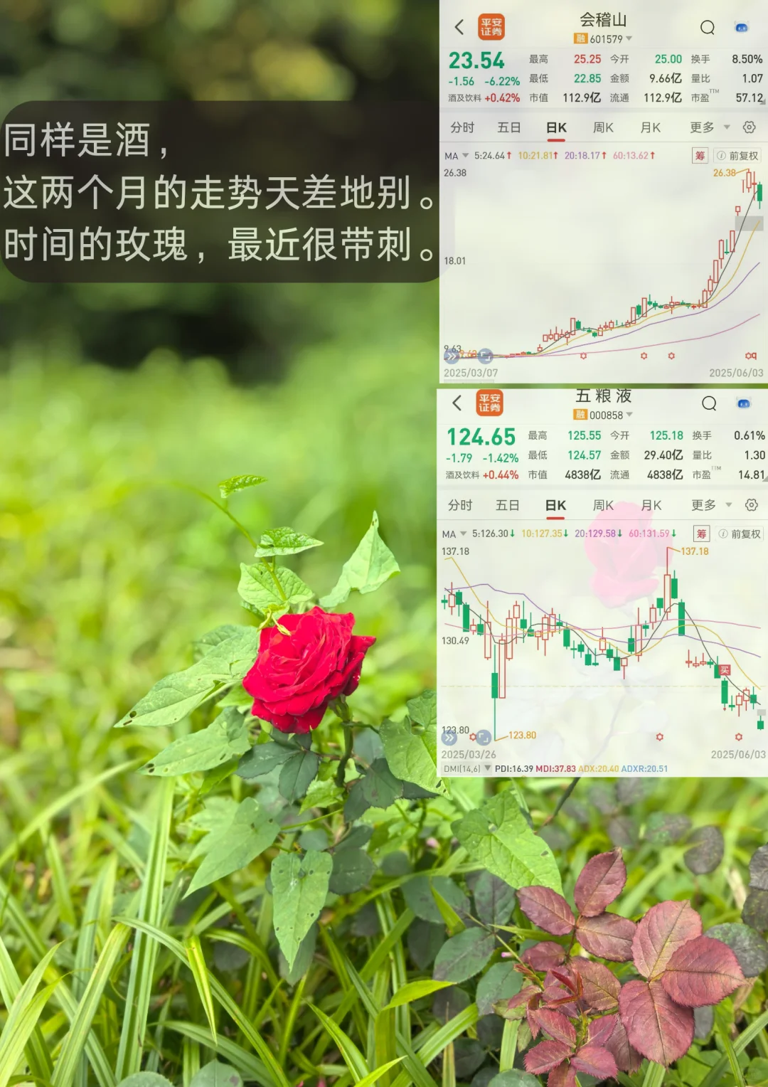 白酒建仓和银行建仓，似曾相识