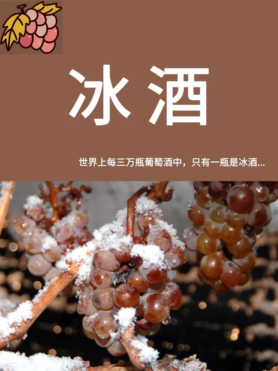 世界上每三万瓶葡萄酒中，只有一瓶是冰酒