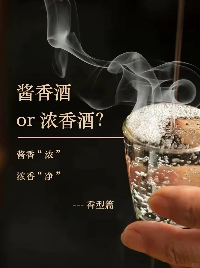 如何通过品尝和观察分辨白酒香型？