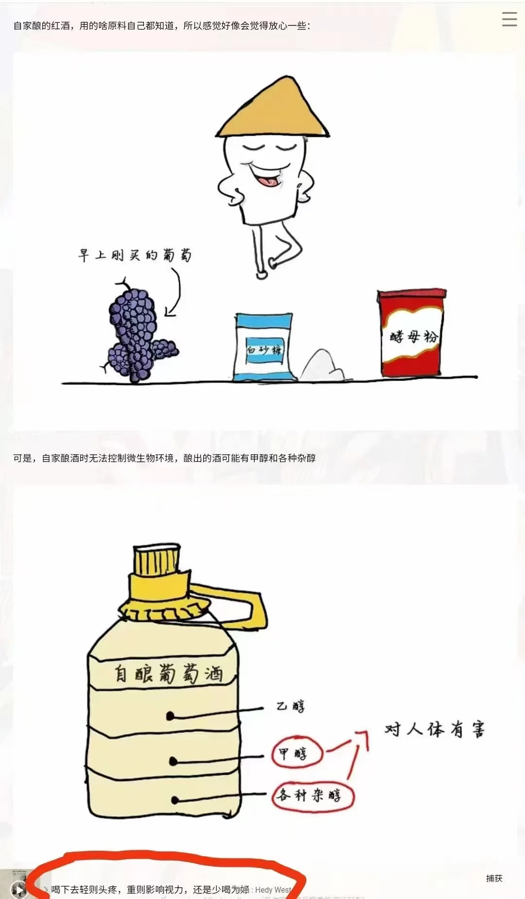 红酒葡萄酒，自酿酒的误区