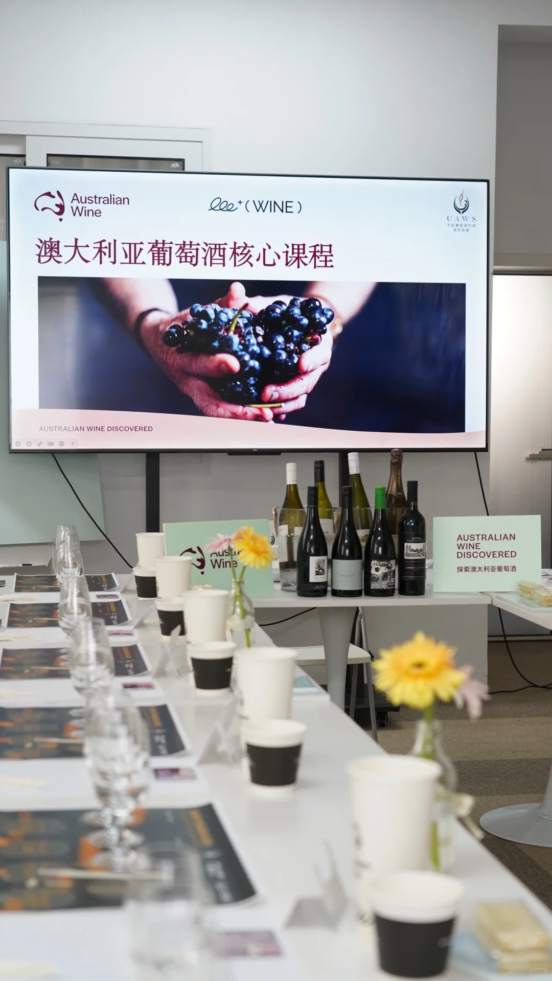 探索澳大利亚葡萄酒?