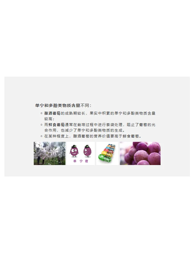 为什么自家不能酿葡萄酒？ 因为葡萄不同啊