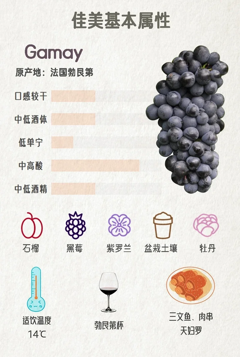 曾被踢出勃艮第的佳美?其实超适合女生！