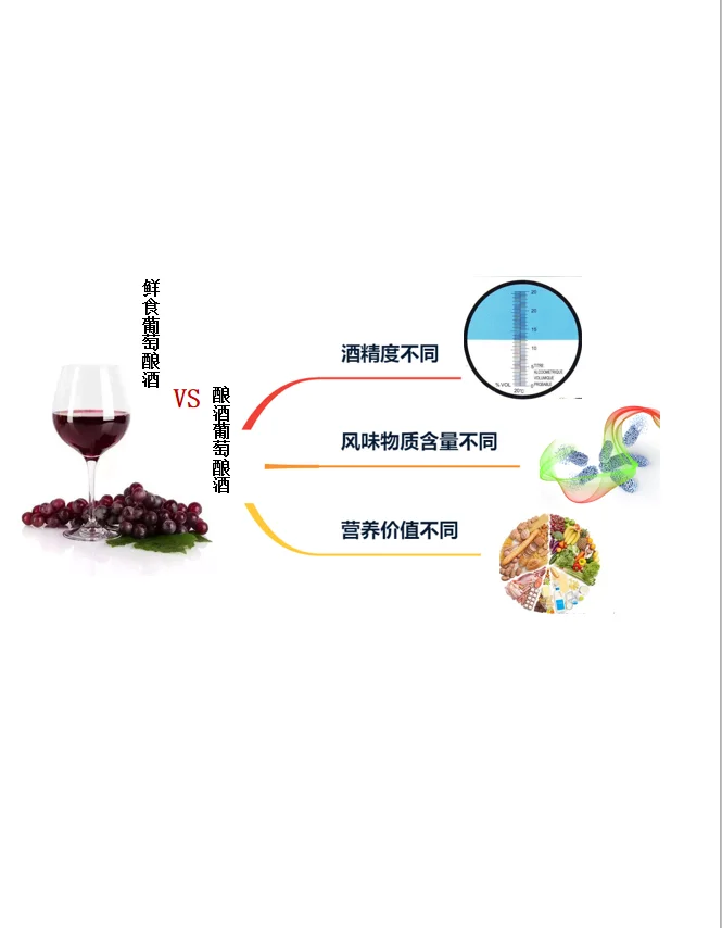为什么自家不能酿葡萄酒？ 因为葡萄不同啊