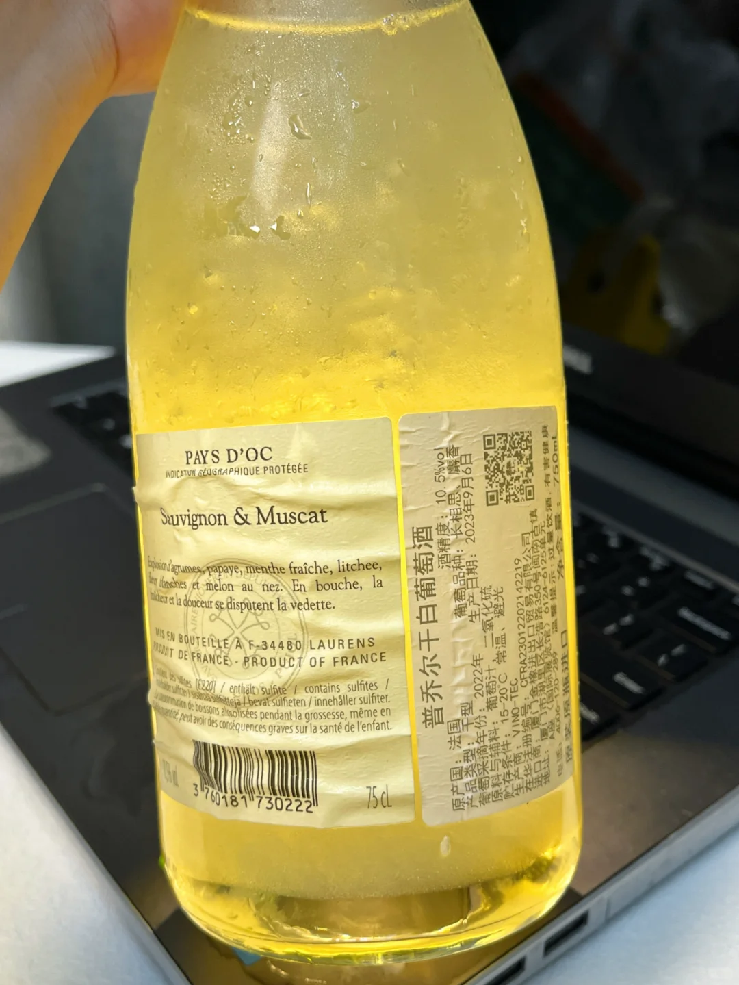 一口清爽，邂逅干白葡萄酒的美妙之旅