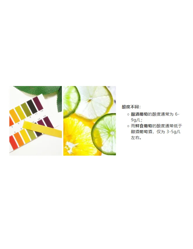 为什么自家不能酿葡萄酒？ 因为葡萄不同啊