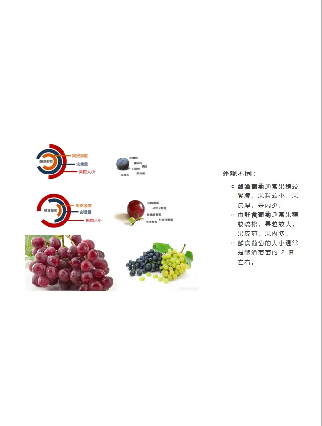 为什么自家不能酿葡萄酒？ 因为葡萄不同啊