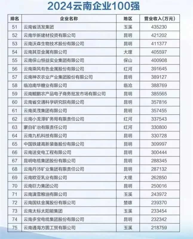 2024年云南企业100强