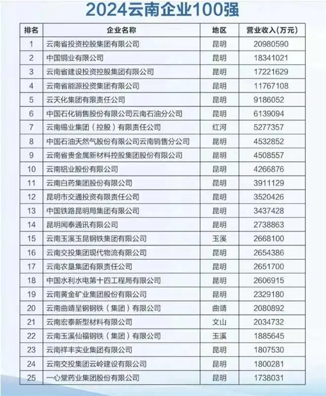 2024年云南企业100强