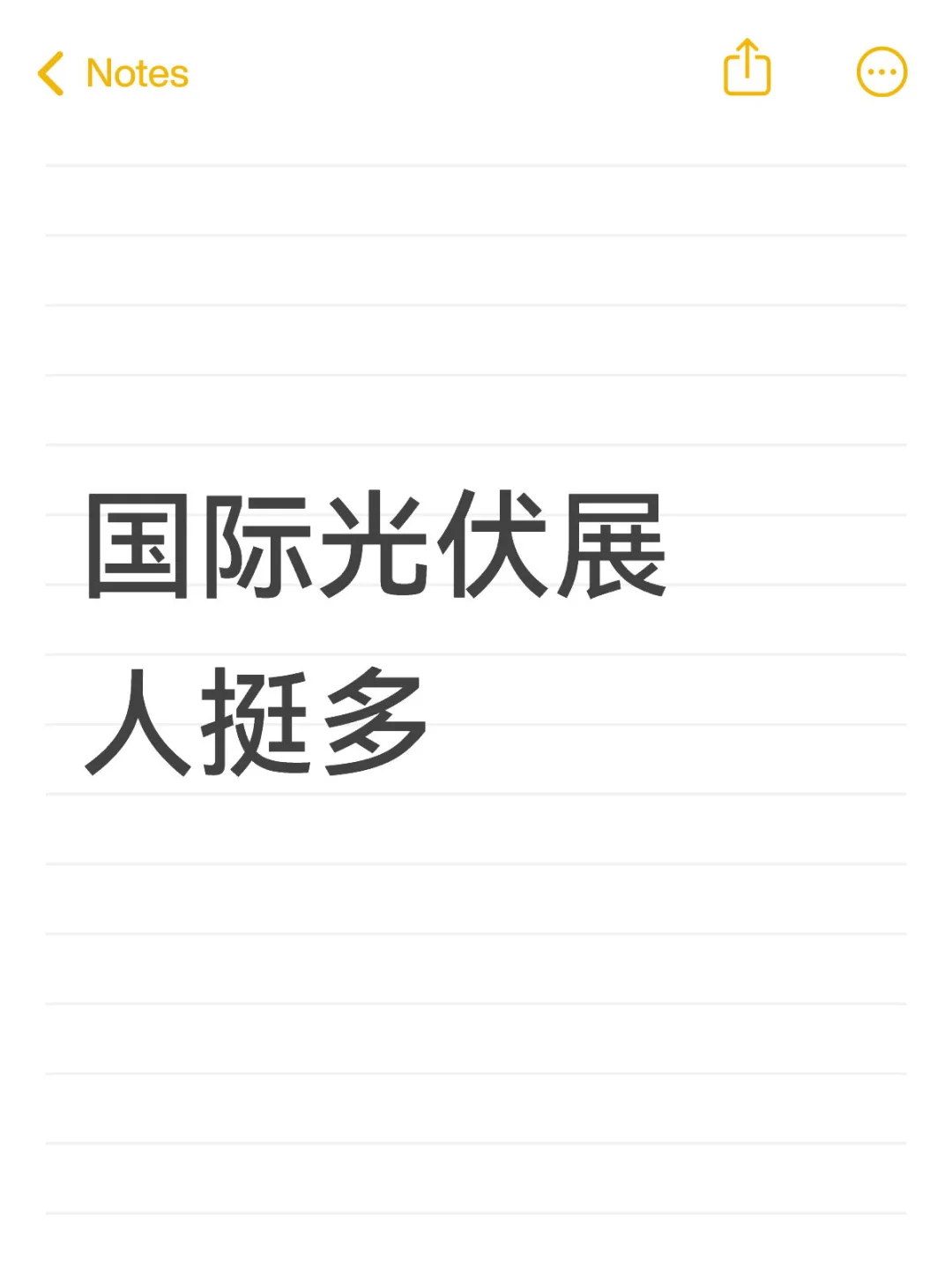 国际光伏展人挺多