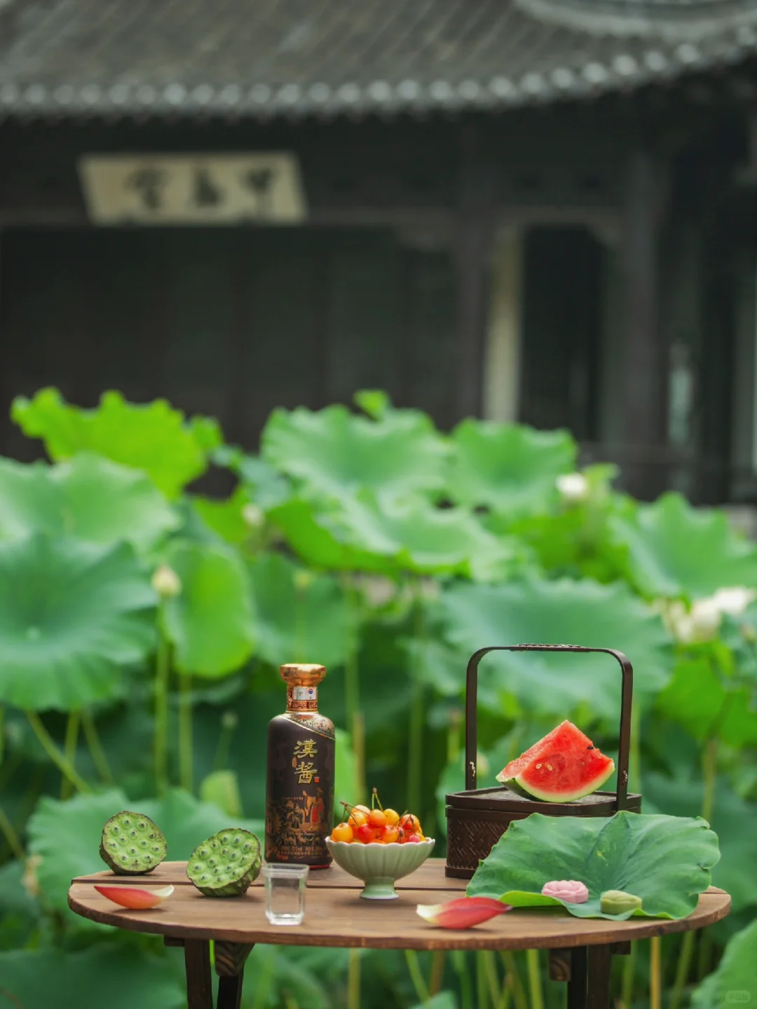 盛夏，赴一场荷花宴的浪漫。