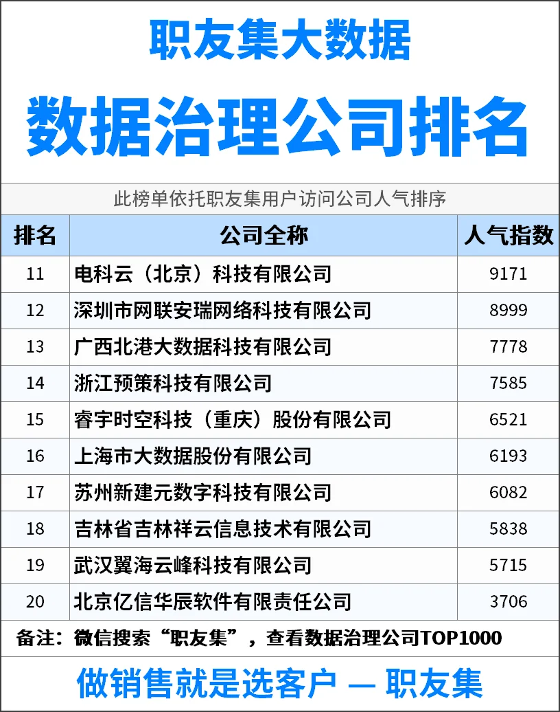 2025年中国‌‌‌‌数据治理公司排行榜