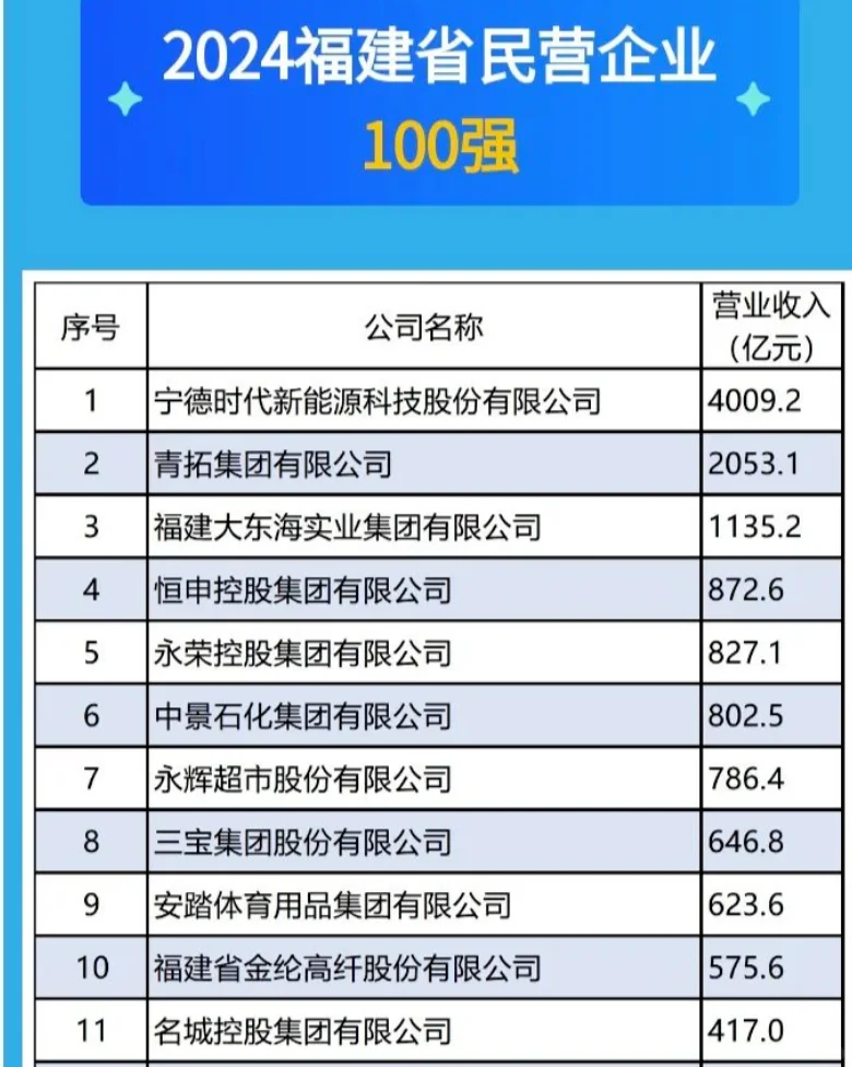 福建前11大民企福州7家宁德2泉州1