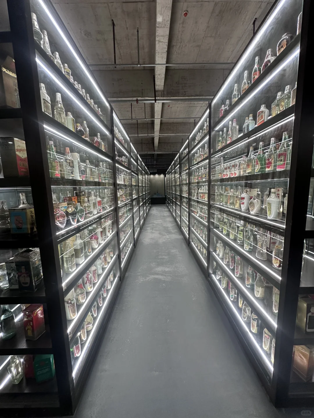 江西财大首申通识课，用五感解锁酒的魅力