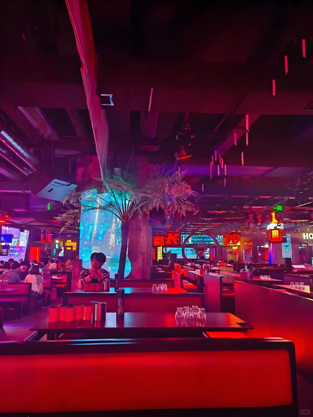 你会不会去酒吧