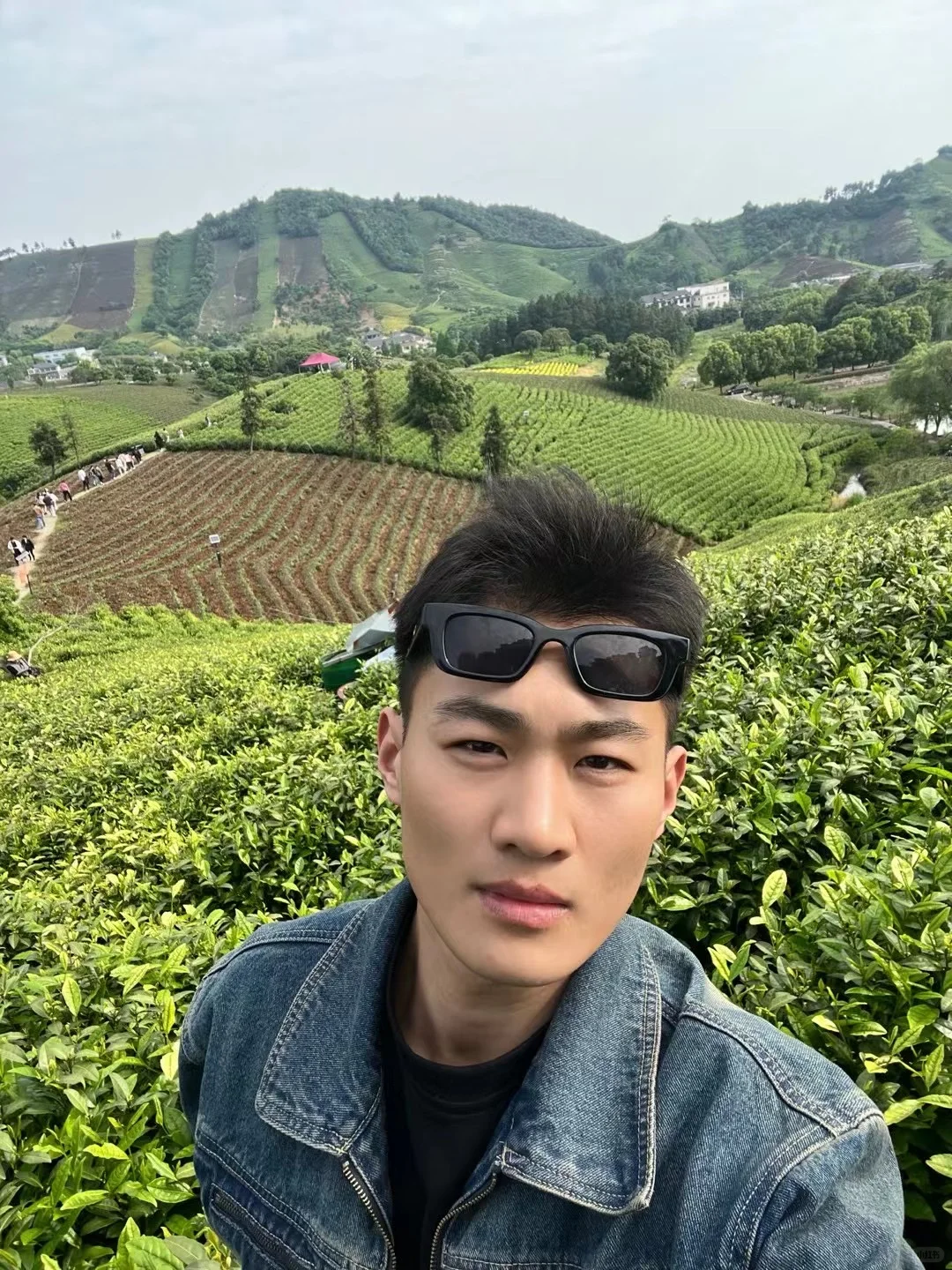 白酒销售狗都不