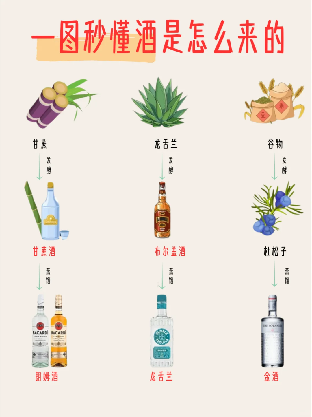 一图秒懂?酒是怎么来的❓️