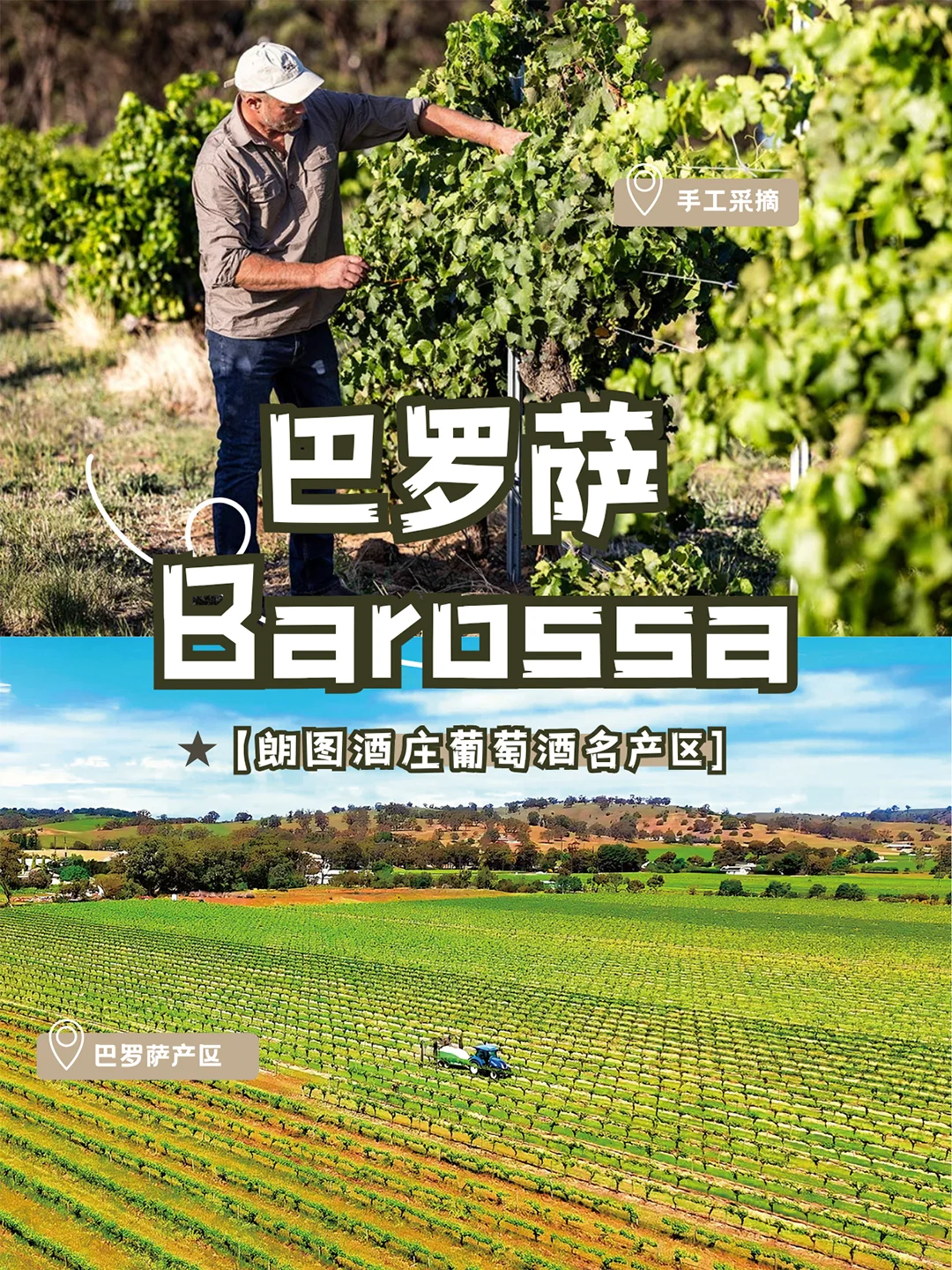 巴罗萨谷为什么被称为葡萄酒圣地？