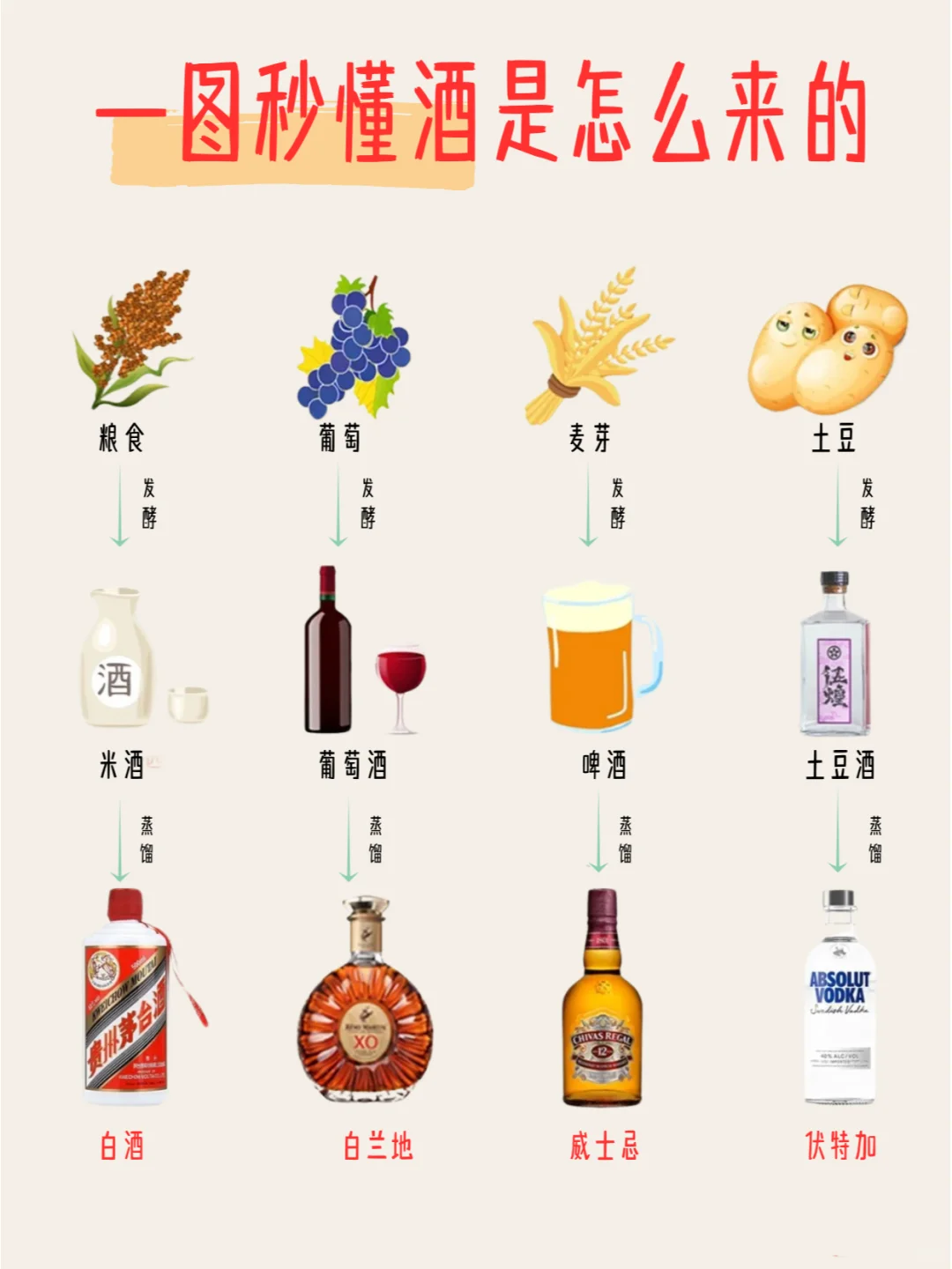 一图秒懂?酒是怎么来的❓️