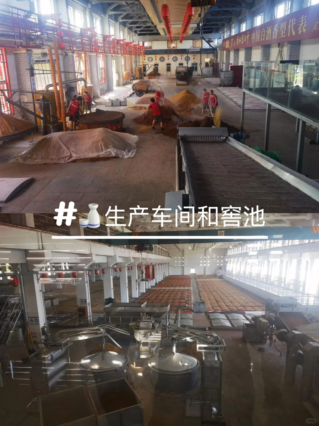 ?酒企调研——衡水老白干