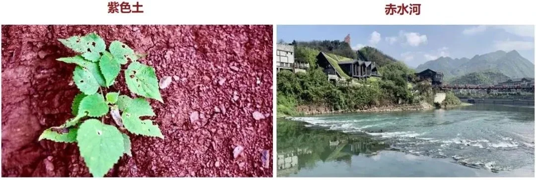 这些虚假宣传套路，你一定要知道！?