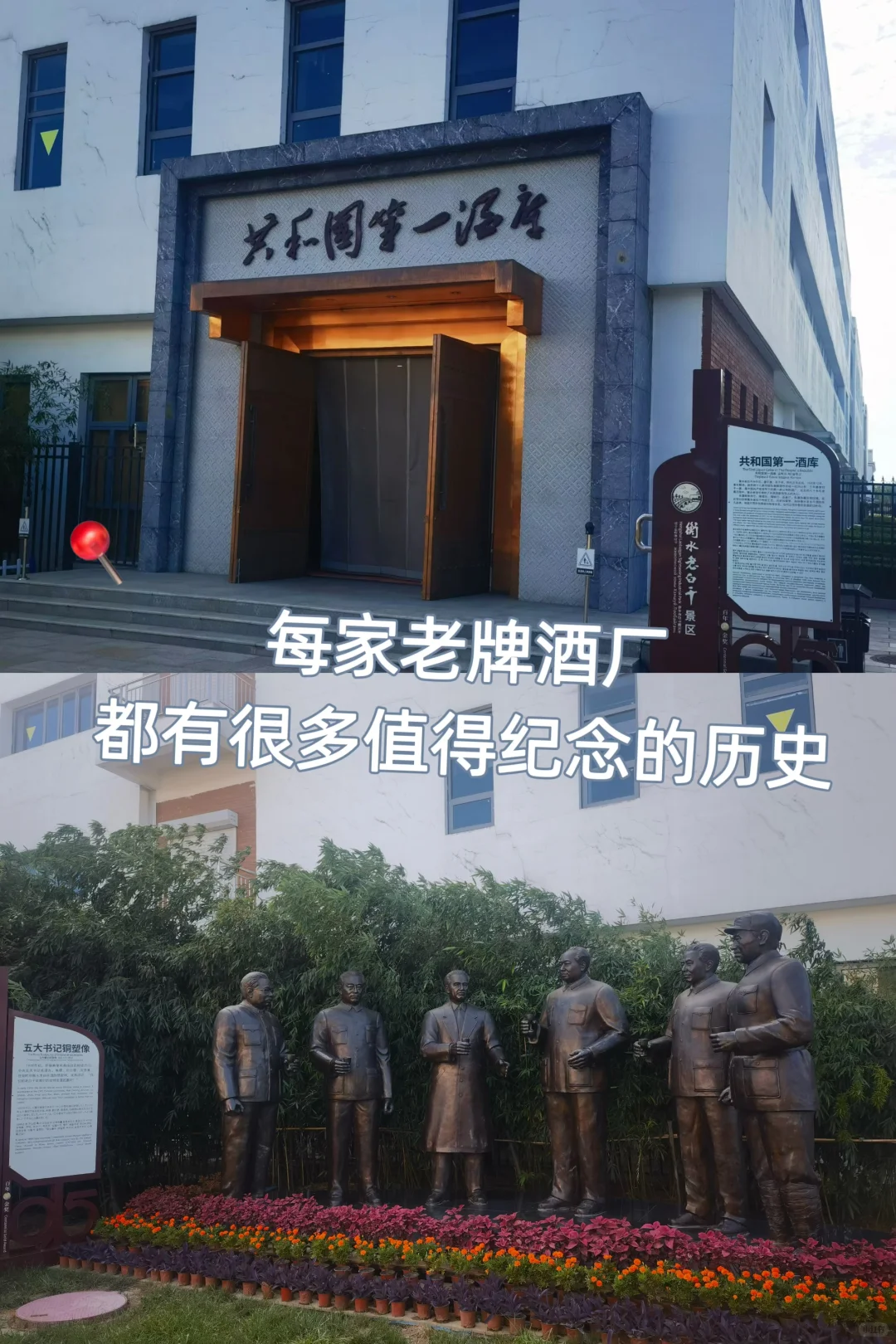 ?酒企调研——衡水老白干