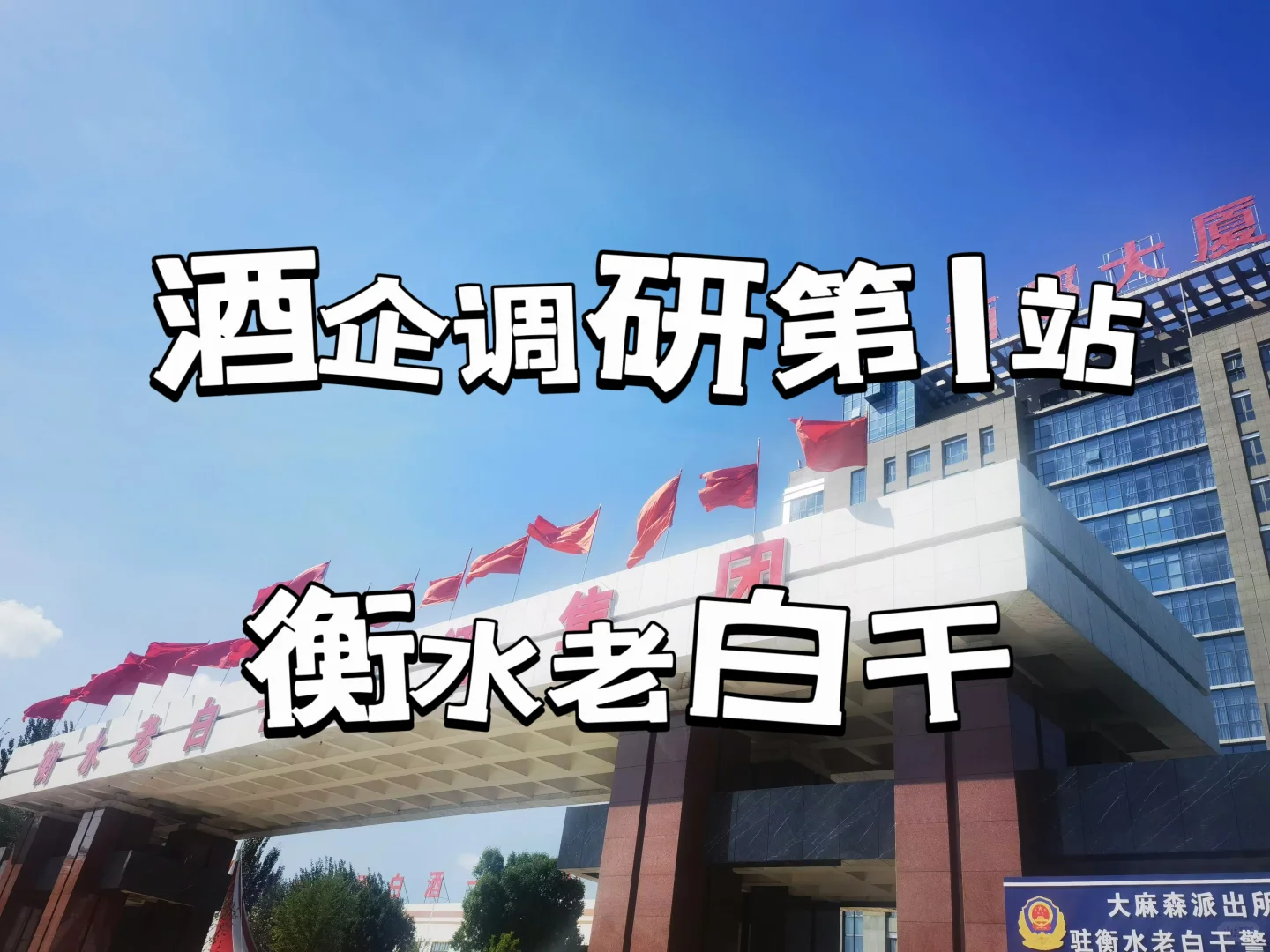 ?酒企调研——衡水老白干