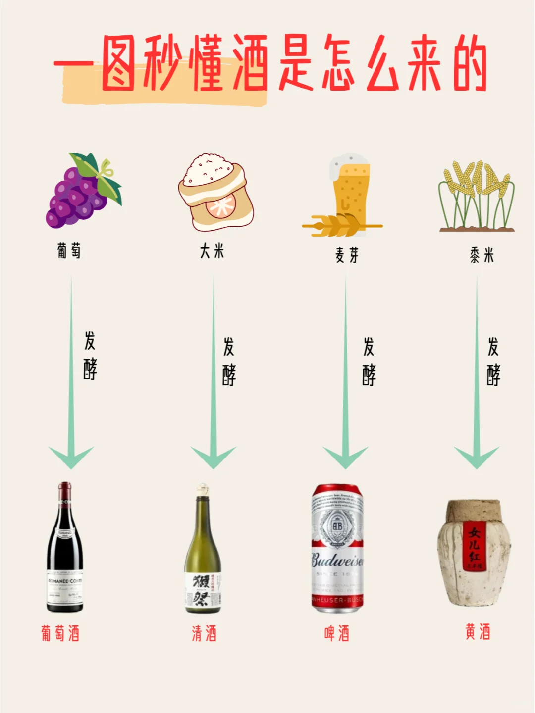 一图秒懂?酒是怎么来的❓️