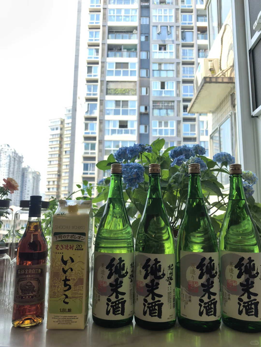 零失败青梅酒酿造指南｜微醺的快乐