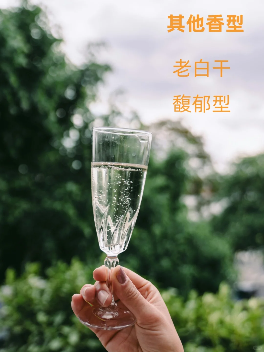 12种白酒香型,哪款是你的心头好呢??