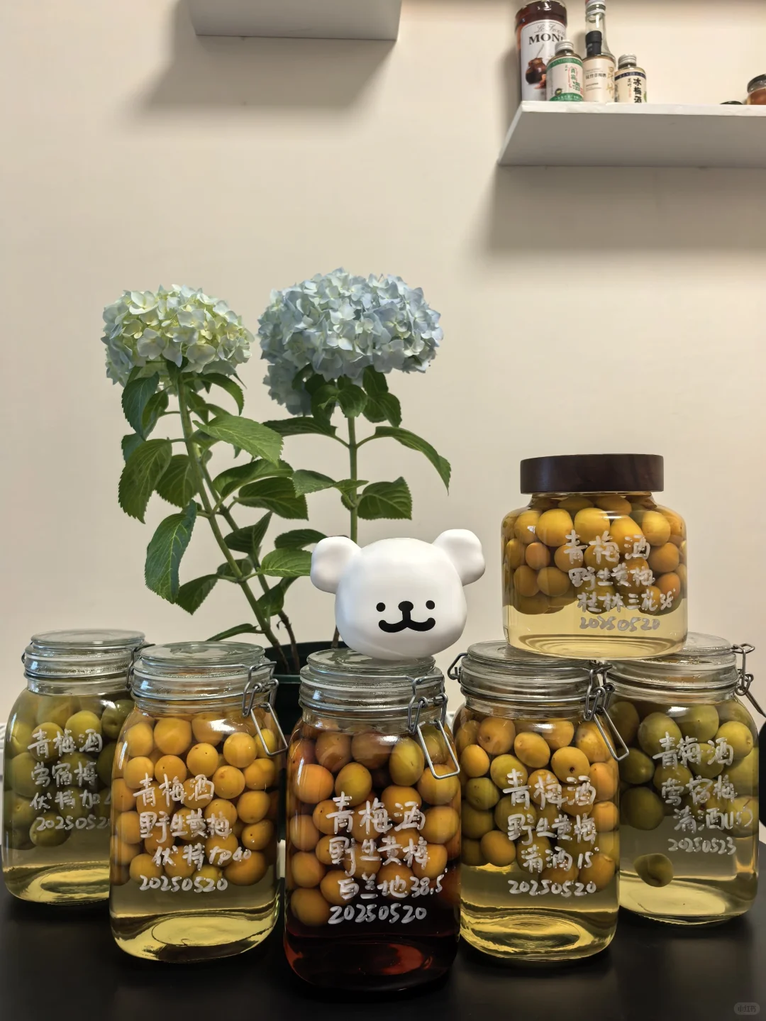 零失败青梅酒酿造指南｜微醺的快乐