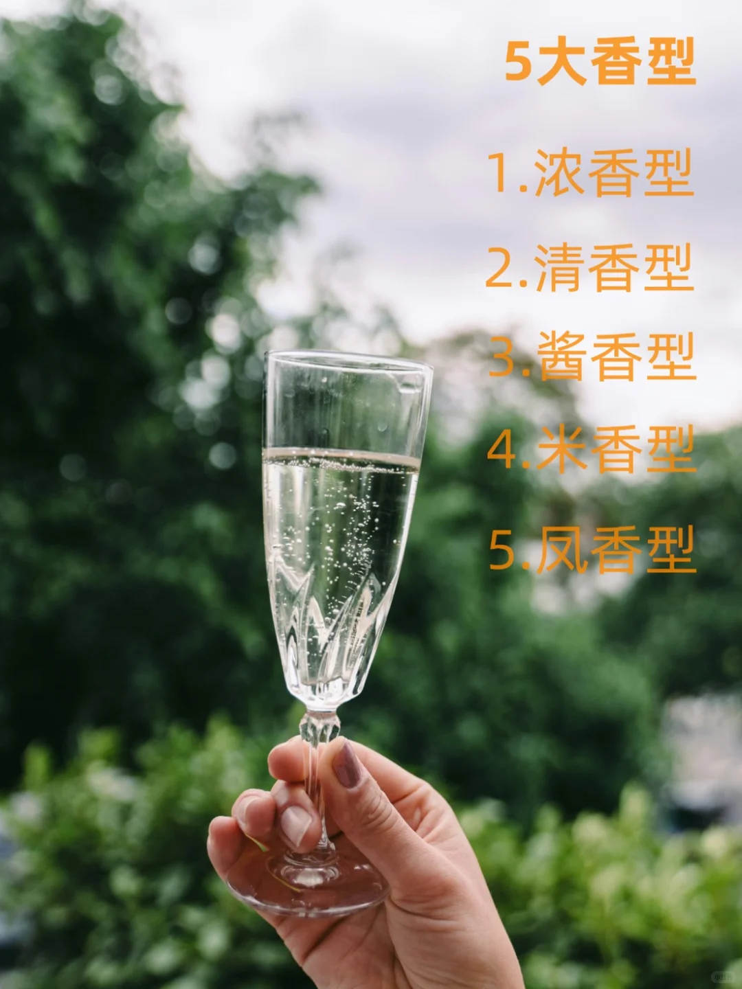 12种白酒香型,哪款是你的心头好呢??