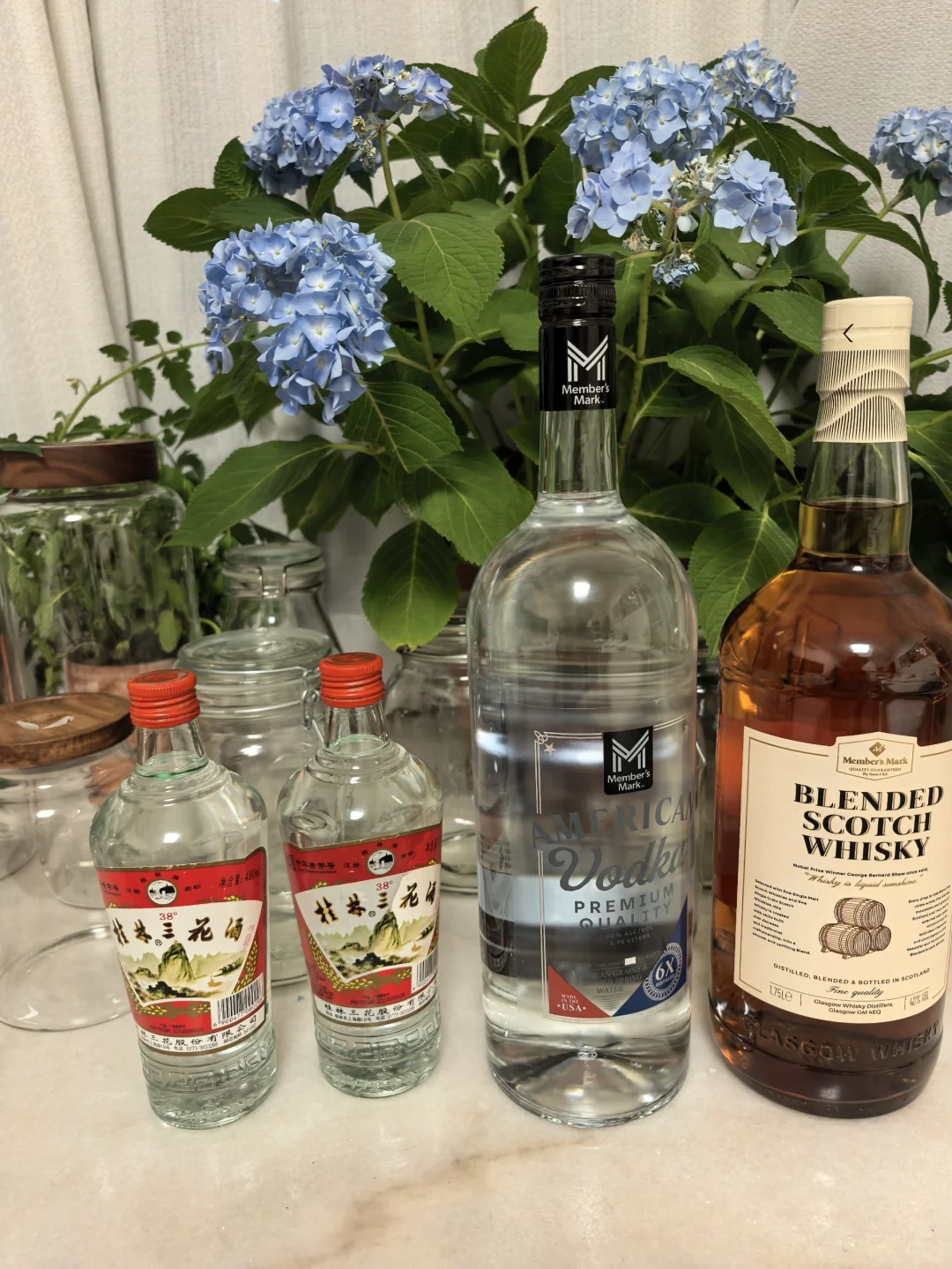 零失败青梅酒酿造指南｜微醺的快乐