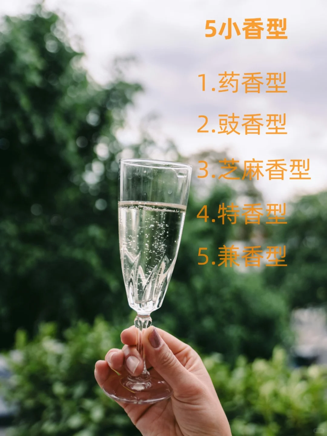 12种白酒香型,哪款是你的心头好呢??