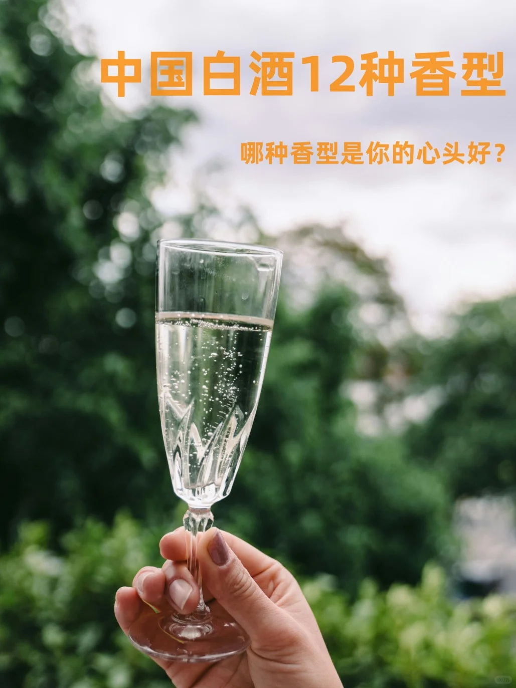 12种白酒香型,哪款是你的心头好呢??