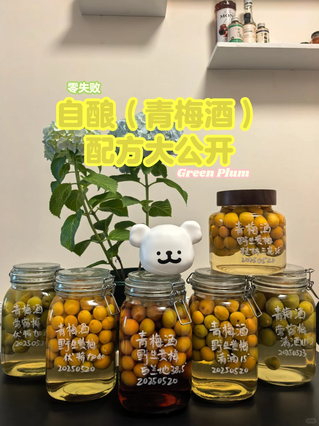 零失败青梅酒酿造指南｜微醺的快乐
