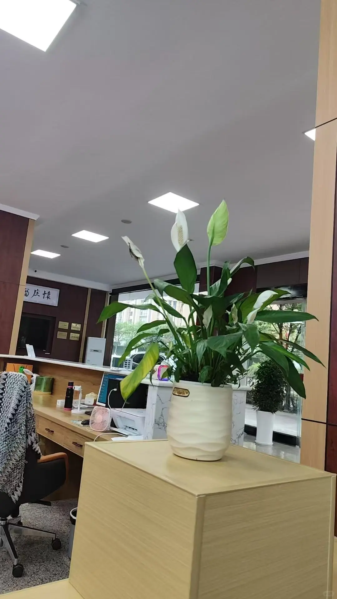 #酱香型白酒 #茅台酒 #每一帧都是热爱 #日