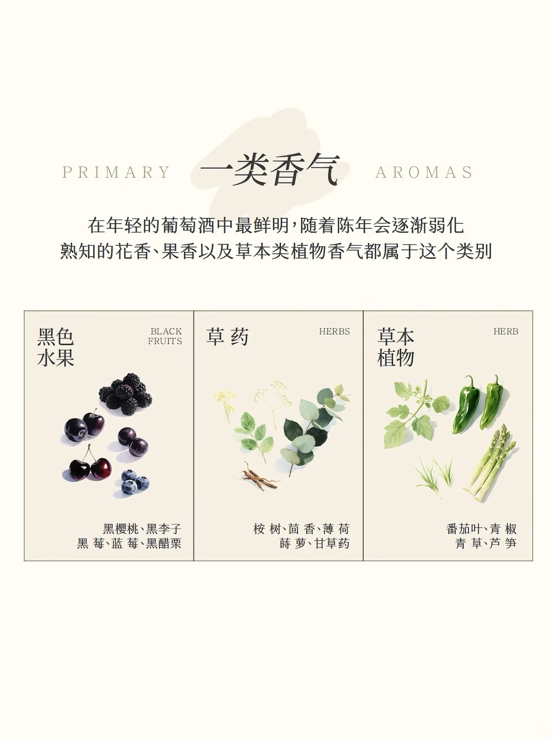 葡萄酒品酒?一文看懂葡萄酒三类香气