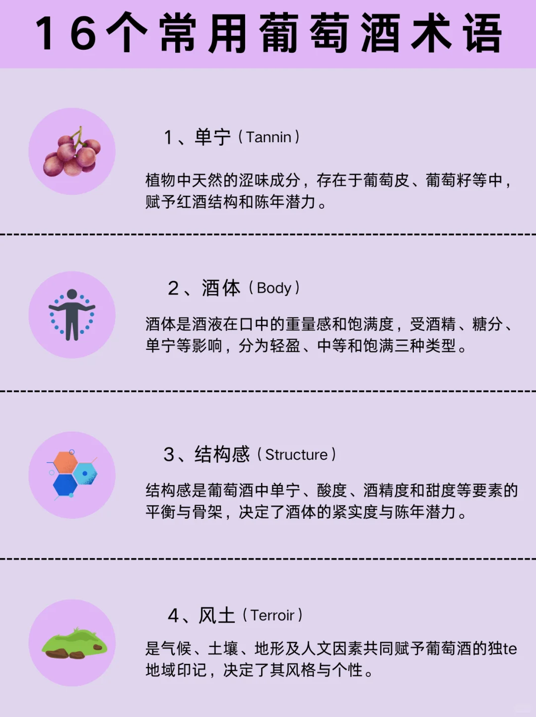 16个葡萄酒常用术语?看完带你玩转葡萄酒?