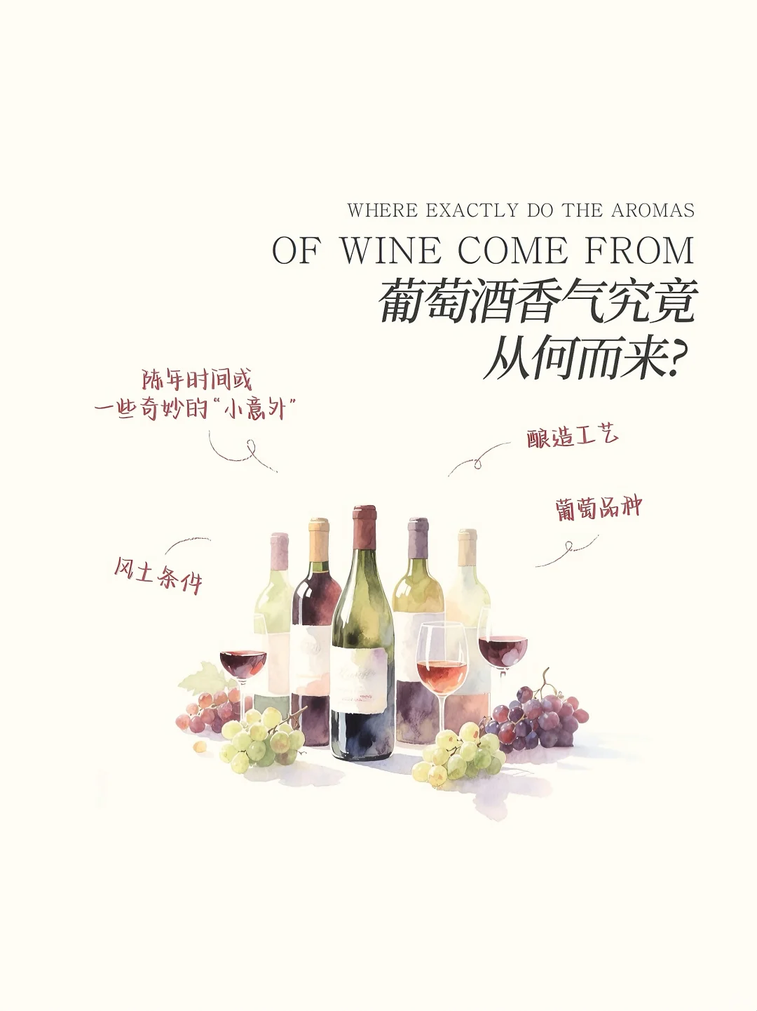葡萄酒品酒?一文看懂葡萄酒三类香气