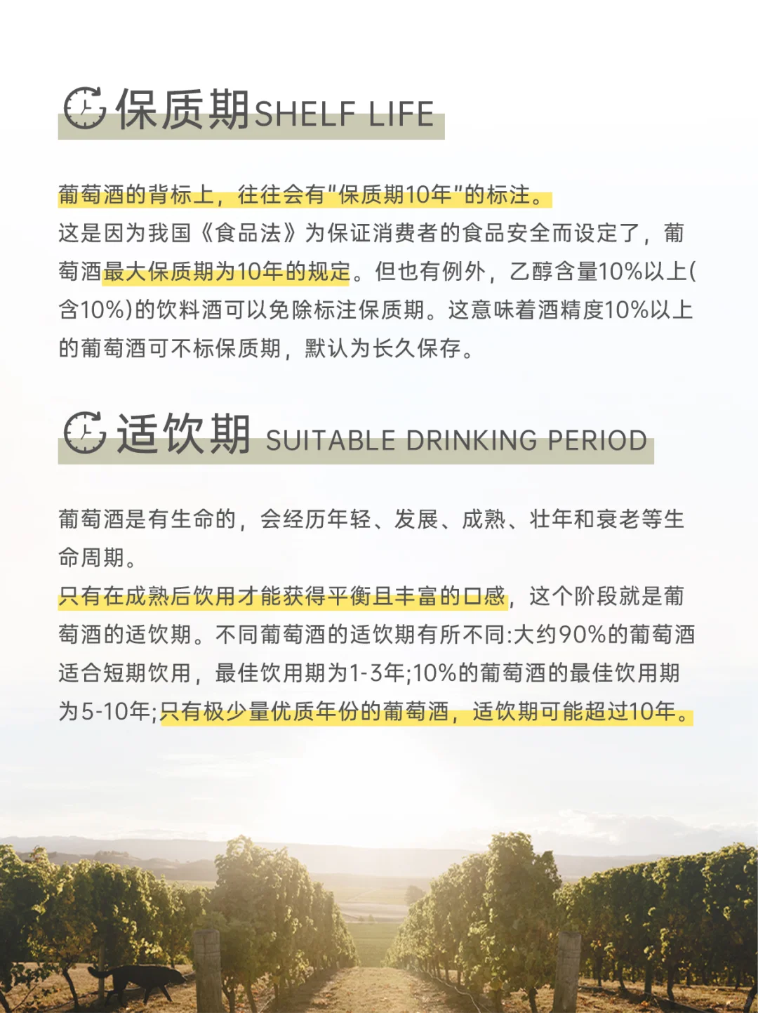 葡萄酒还有保质期？解读6️⃣个葡萄酒重要日期