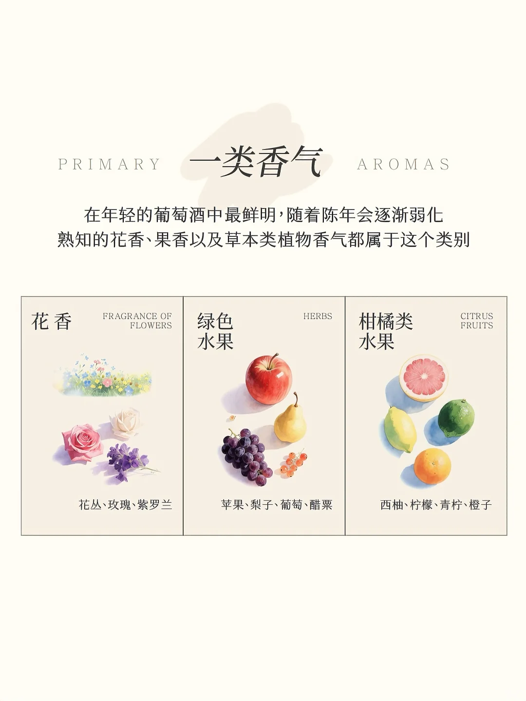 葡萄酒品酒?一文看懂葡萄酒三类香气