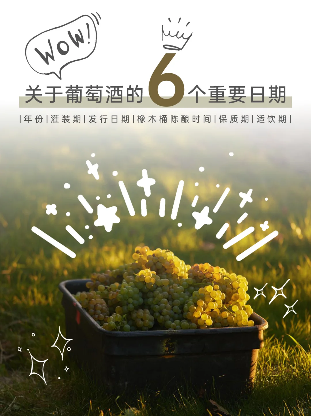 葡萄酒还有保质期？解读6️⃣个葡萄酒重要日期