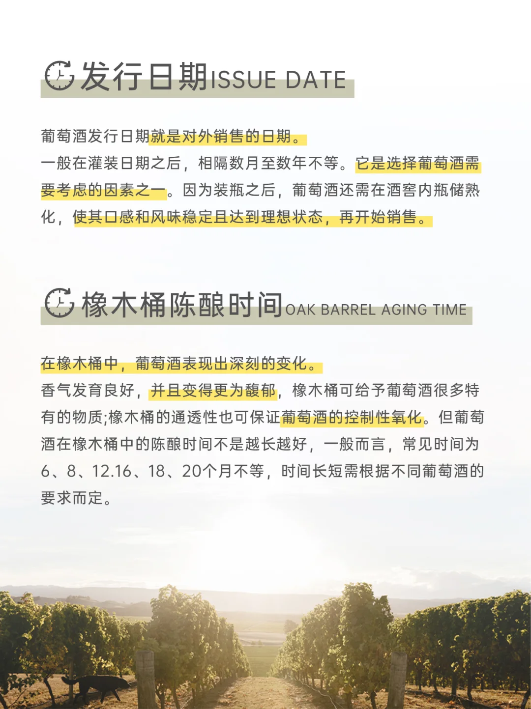 葡萄酒还有保质期？解读6️⃣个葡萄酒重要日期